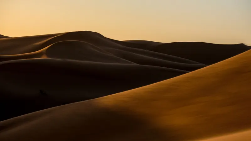 Golden sand dunes at sunrise