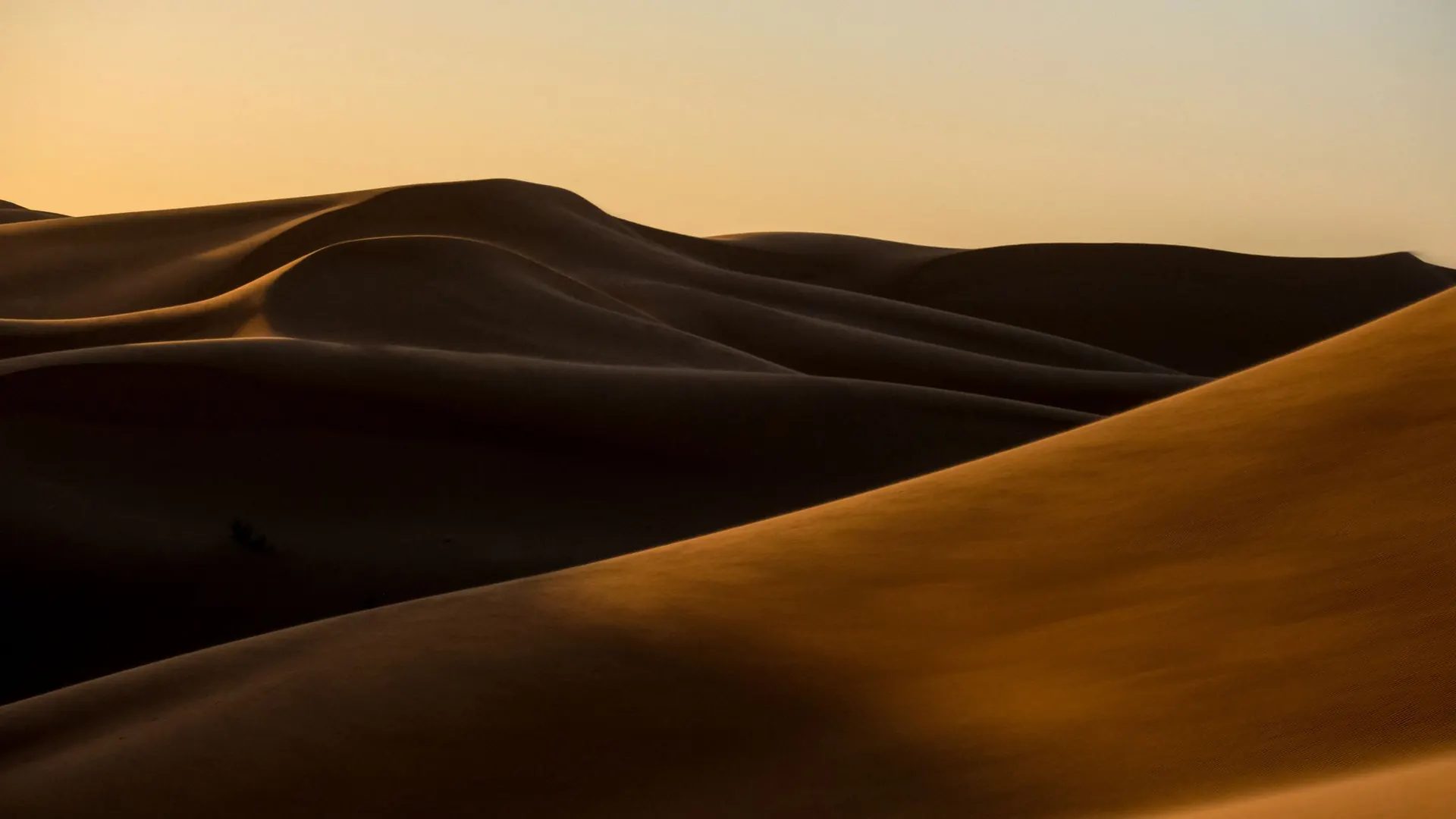 Golden sand dunes at sunrise